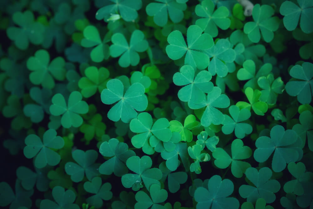 ST Patricks day